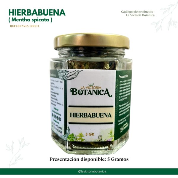Hierbabuena deshidratada
