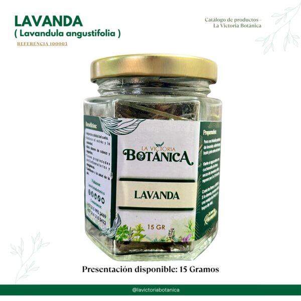 Lavanda en hoja deshidratada